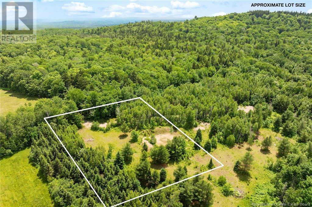 Lot Greenhill Lake Road, Greenhill, New Brunswick  E6E 1E9 - Photo 11 - NB119419