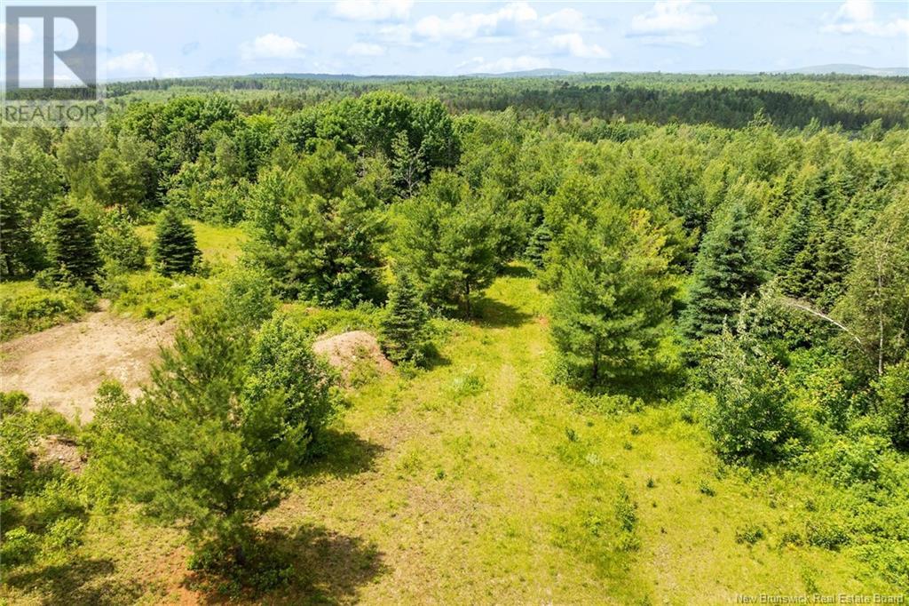 Lot Greenhill Lake Road, Greenhill, New Brunswick  E6E 1E9 - Photo 13 - NB119419