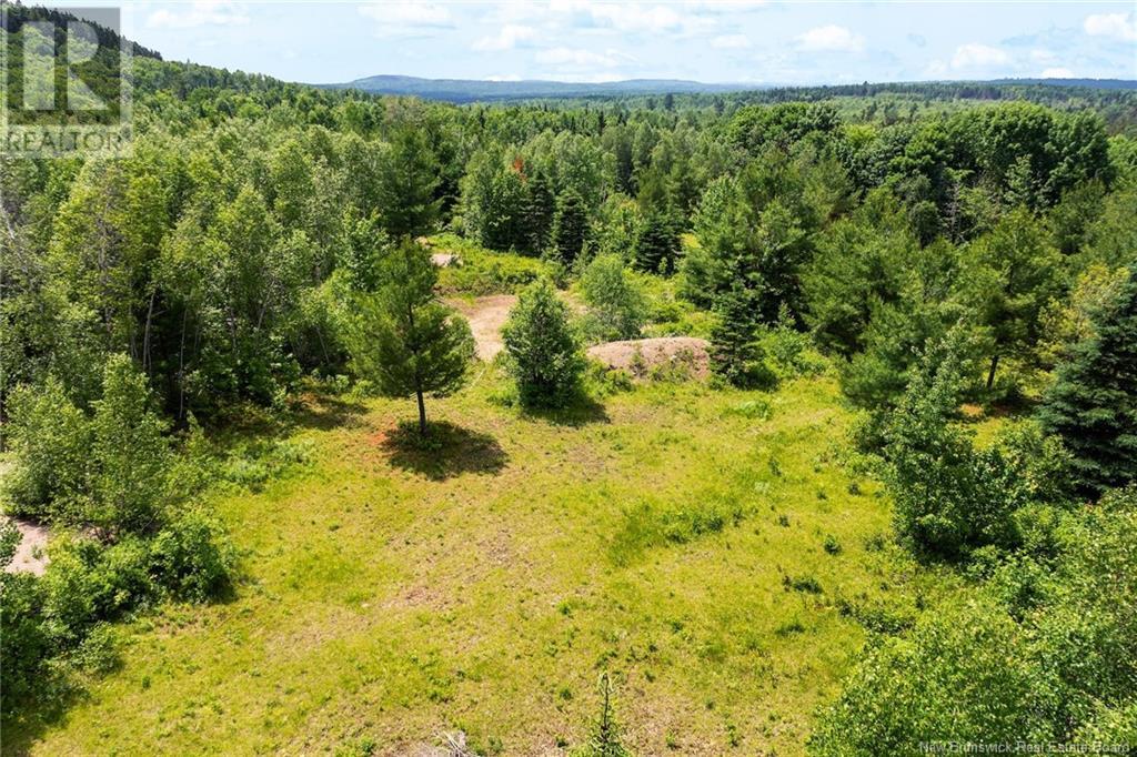 Lot Greenhill Lake Road, Greenhill, New Brunswick  E6E 1E9 - Photo 14 - NB119419