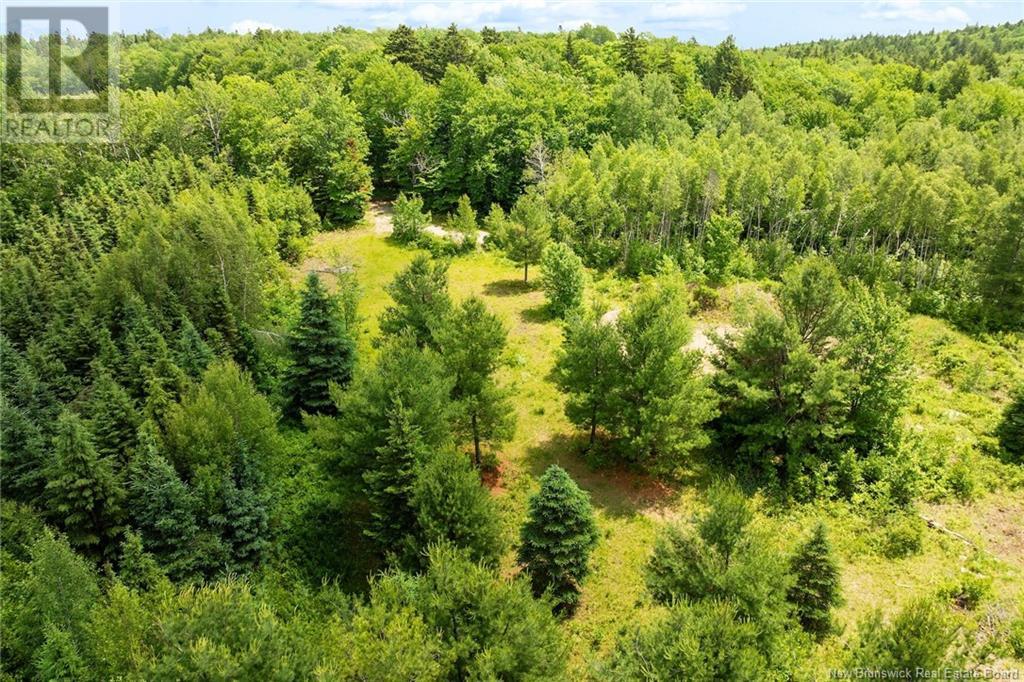 Lot Greenhill Lake Road, Greenhill, New Brunswick  E6E 1E9 - Photo 17 - NB119419