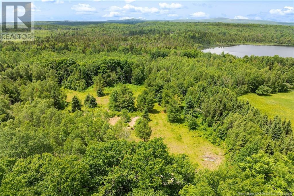 Lot Greenhill Lake Road, Greenhill, New Brunswick  E6E 1E9 - Photo 18 - NB119419