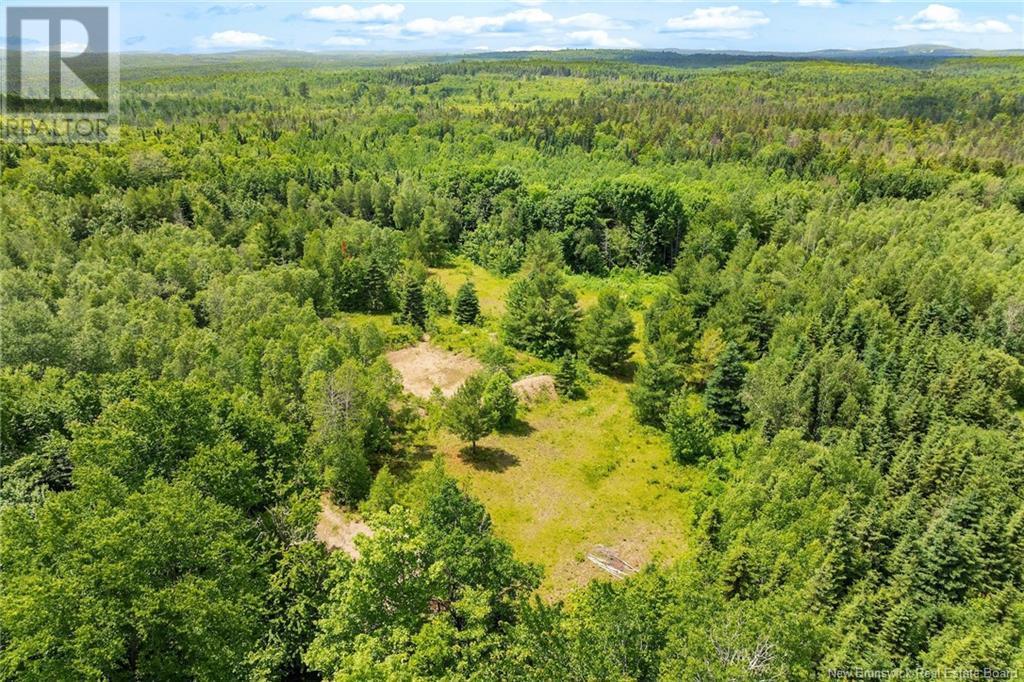 Lot Greenhill Lake Road, Greenhill, New Brunswick  E6E 1E9 - Photo 19 - NB119419