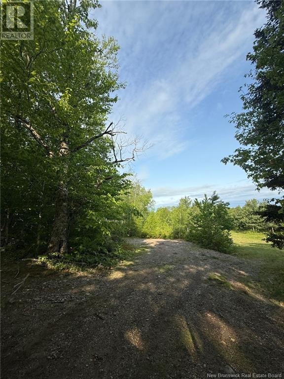 Lot Greenhill Lake Road, Greenhill, New Brunswick  E6E 1E9 - Photo 2 - NB119419
