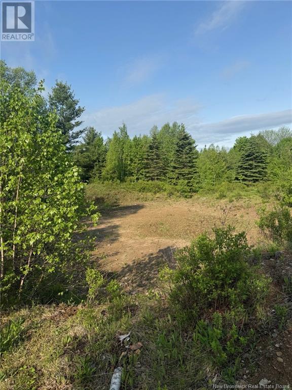 Lot Greenhill Lake Road, Greenhill, New Brunswick  E6E 1E9 - Photo 5 - NB119419