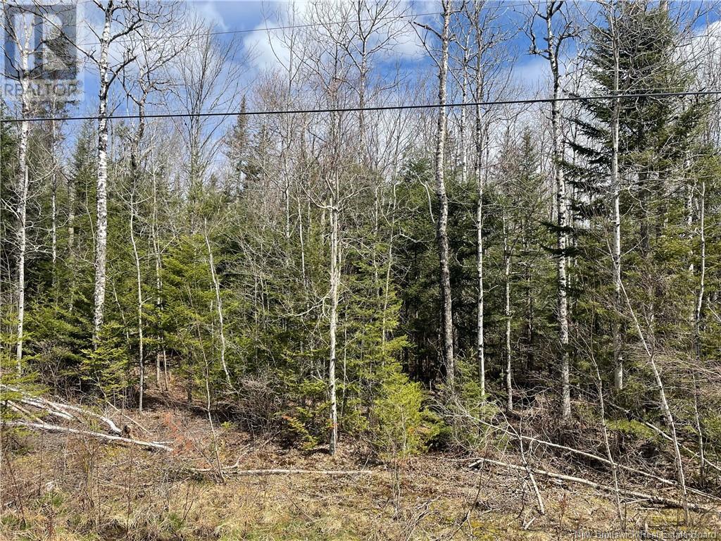 Route 865, Norton, New Brunswick