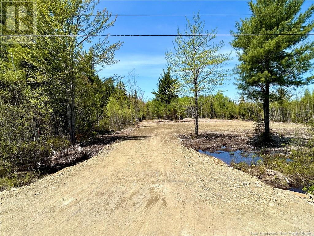 75 Murdock Road, Napan, New Brunswick  E1N 4Y9 - Photo 1 - NB119523