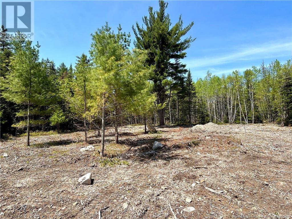 75 Murdock Road, Napan, New Brunswick  E1N 4Y9 - Photo 3 - NB119523