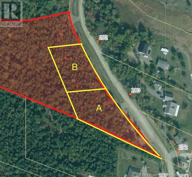 Lot B Blanchard Trail, Aldouane, New Brunswick  E4W 5A7 - Photo 1 - NB119473