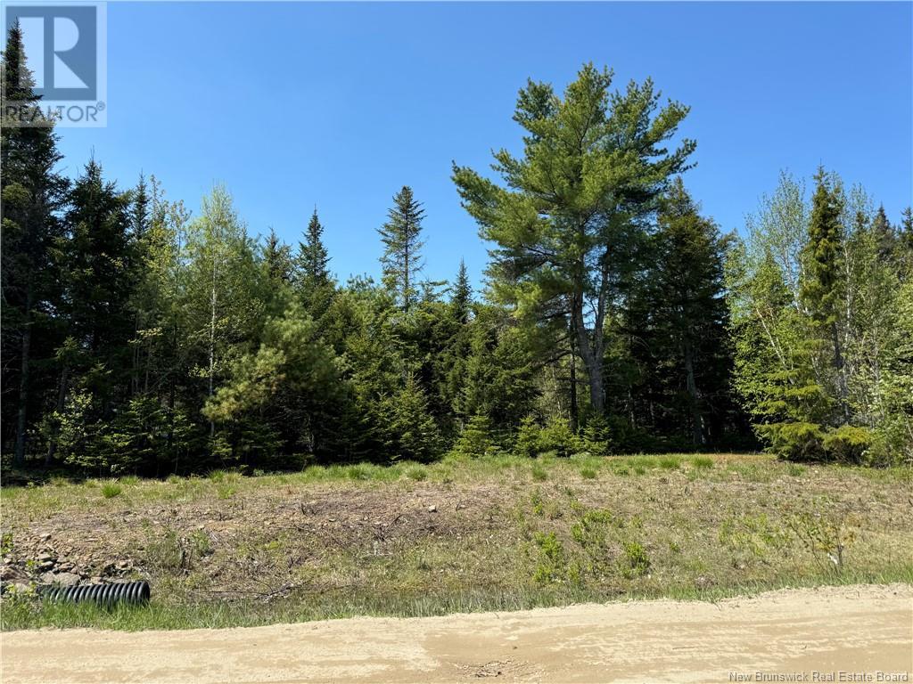 Lot B Blanchard Trail, Aldouane, New Brunswick  E4W 5A7 - Photo 2 - NB119473