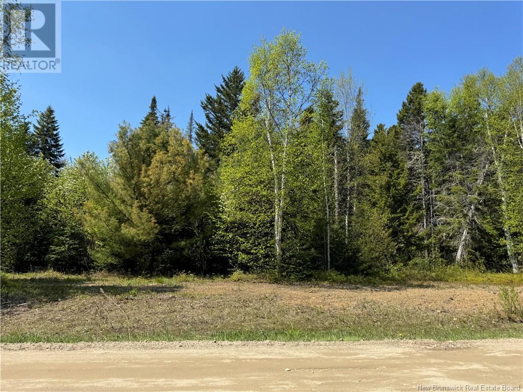 Lot B Blanchard Trail, Aldouane, New Brunswick  E4W 5A7 - Photo 3 - NB119473