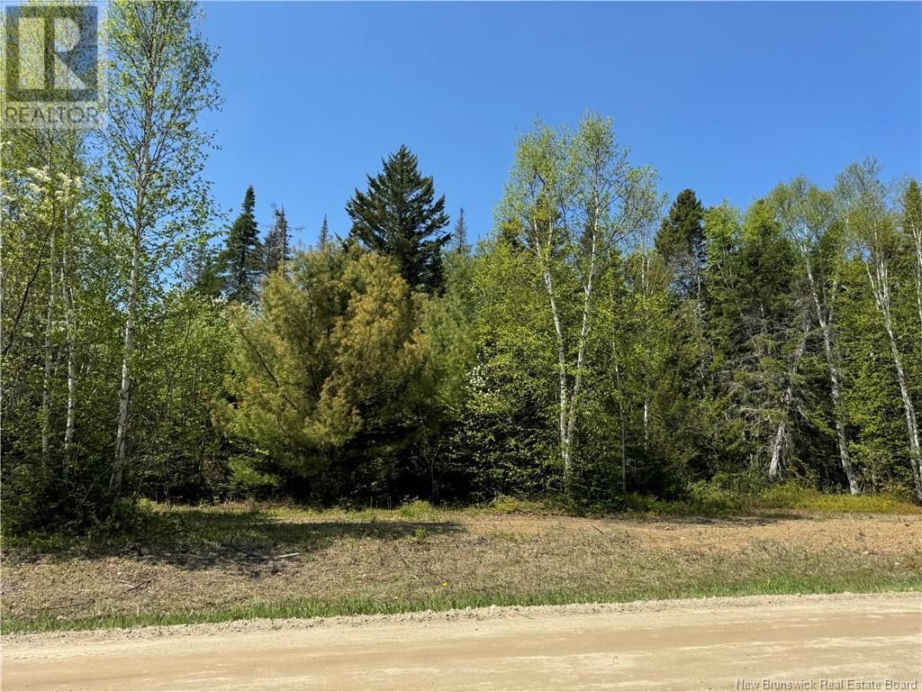 Lot A Blanchard Trail, Aldouane, New Brunswick  E4W 5A7 - Photo 3 - NB119471