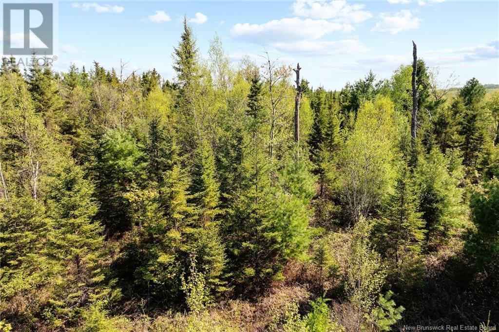 Lot Wegeseum Road, Chipman, New Brunswick  O0O 0O0 - Photo 10 - NB119603