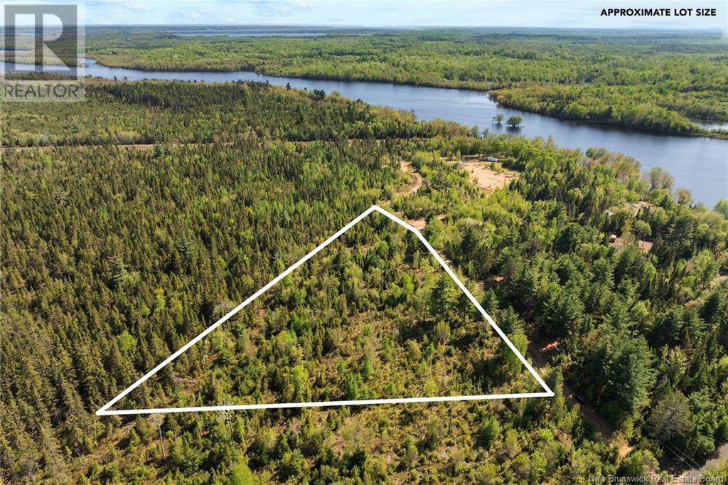 Lot Wegeseum Road, Chipman, New Brunswick  O0O 0O0 - Photo 4 - NB119603