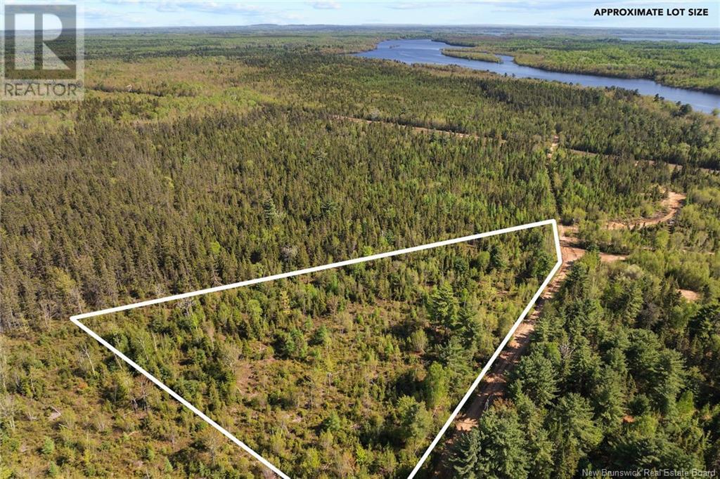 Lot Wegeseum Road, Chipman, New Brunswick  O0O 0O0 - Photo 5 - NB119603