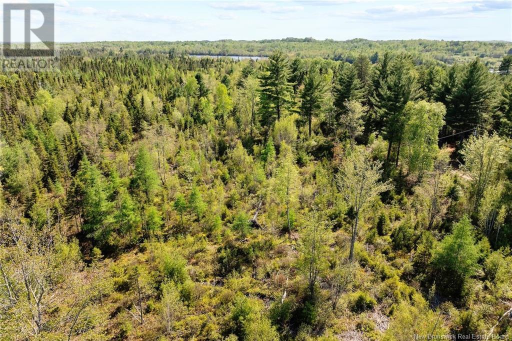 Lot Wegeseum Road, Chipman, New Brunswick  O0O 0O0 - Photo 7 - NB119603