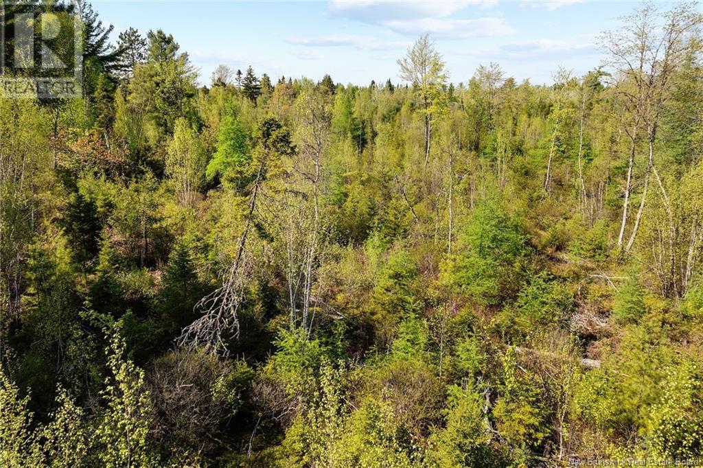 Lot Wegeseum Road, Chipman, New Brunswick  O0O 0O0 - Photo 8 - NB119603