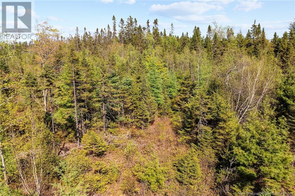 Lot Wegeseum Road, Chipman, New Brunswick  O0O 0O0 - Photo 9 - NB119603