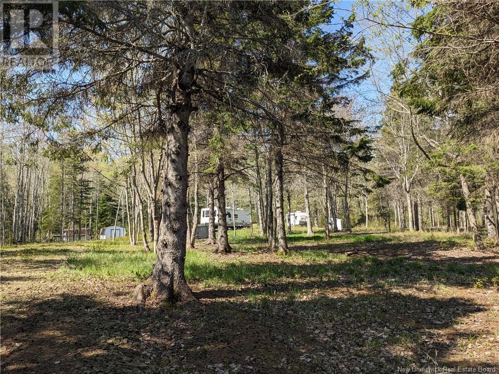 126 Straight Brook Road, Tabusintac, New Brunswick  E9H 0A2 - Photo 10 - NB119528