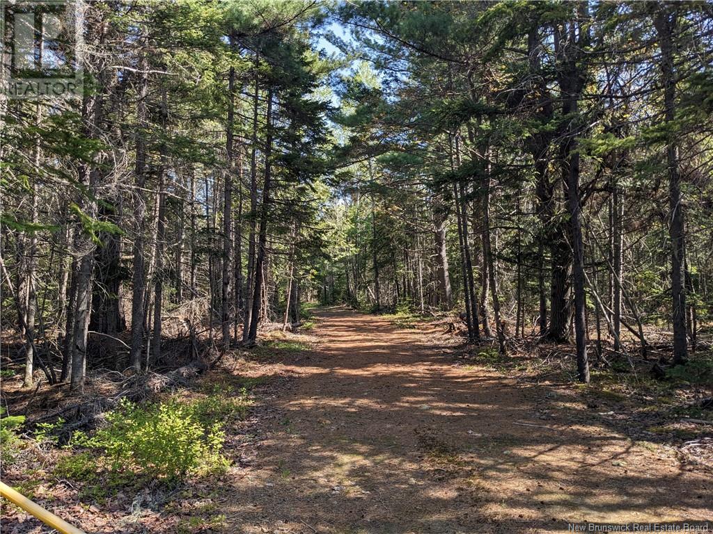 126 Straight Brook Road, Tabusintac, New Brunswick  E9H 0A2 - Photo 8 - NB119528