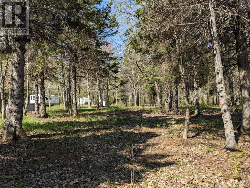 126 Straight Brook Road, Tabusintac, New Brunswick  E9H 0A2 - Photo 9 - NB119528
