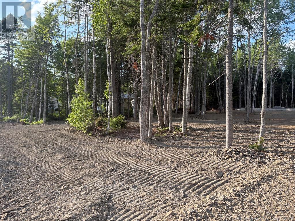 19 David Road, Galloway, New Brunswick  E4W 0A7 - Photo 5 - NB119408