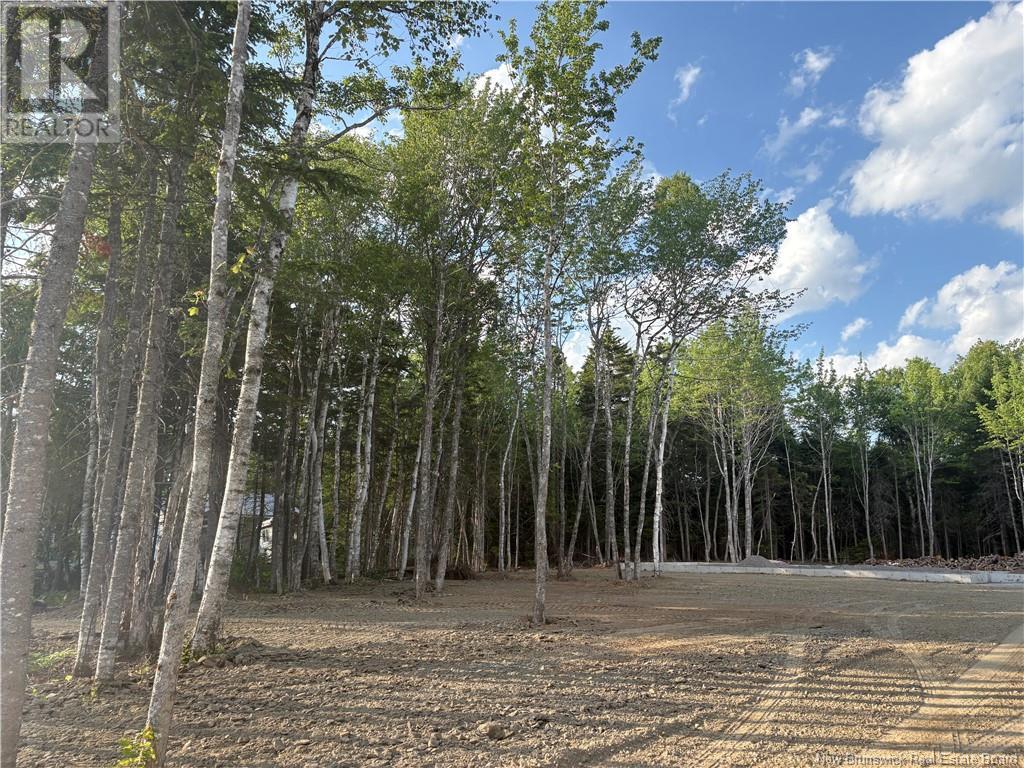 19 David Road, Galloway, New Brunswick  E4W 0A7 - Photo 7 - NB119408