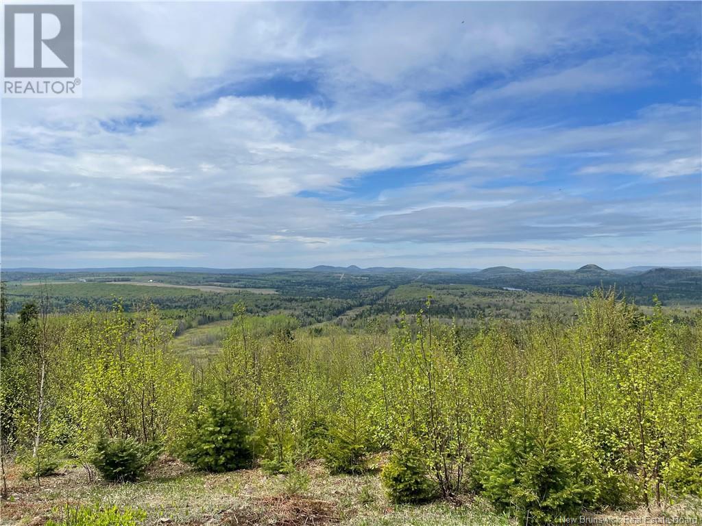 Lot Howland Ridge Road, Millville, New Brunswick  E6E 1Y6 - Photo 2 - NB119619