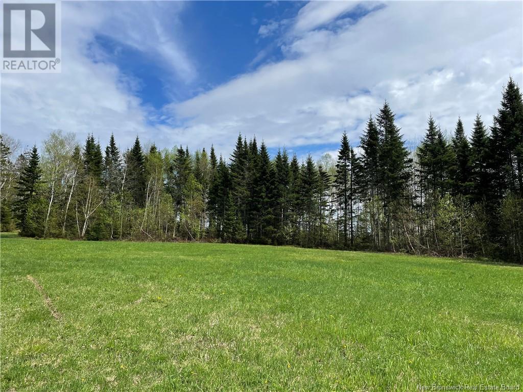 Lot Howland Ridge Road, Millville, New Brunswick  E6E 1Y6 - Photo 6 - NB119619