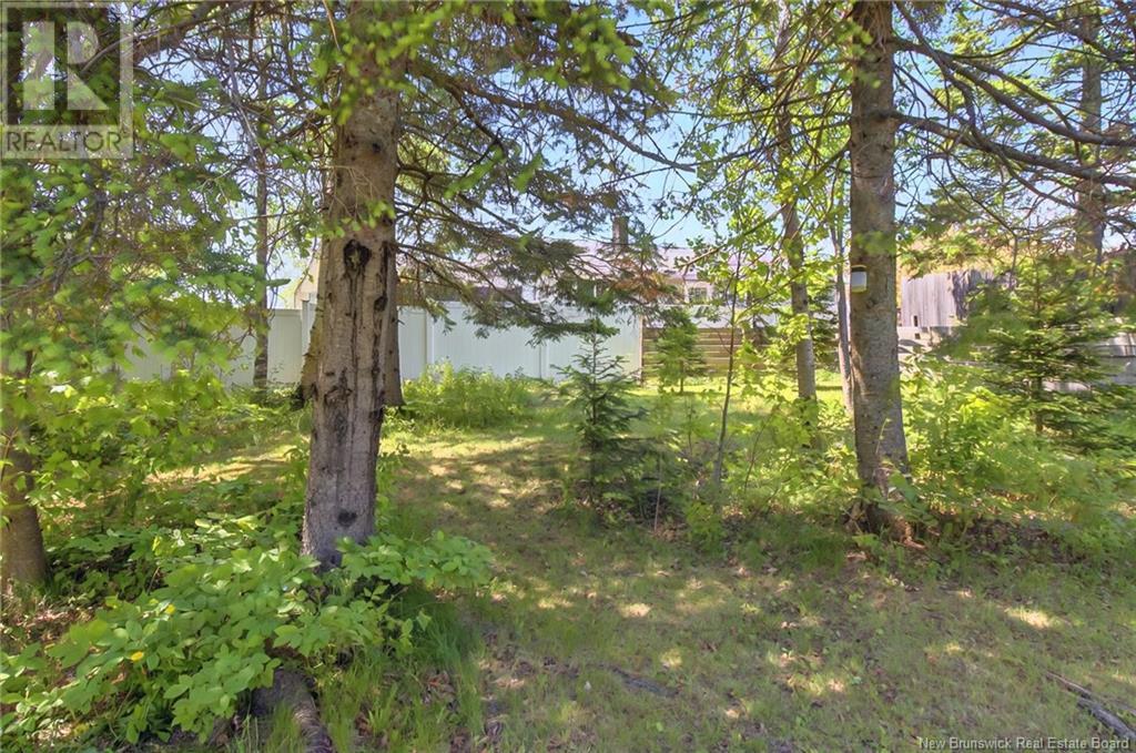 346 Pascal Street, Dieppe, New Brunswick  E1A 2C5 - Photo 39 - NB119640