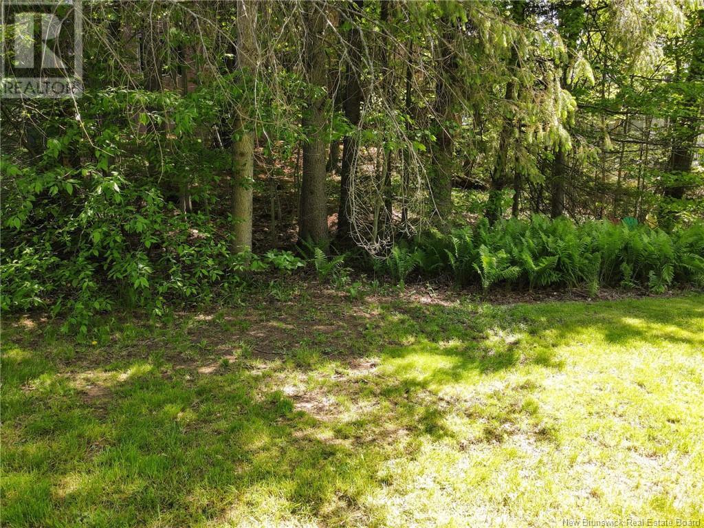 270 Bessborough Avenue, Moncton, New Brunswick  E1E 4C1 - Photo 11 - NB119667