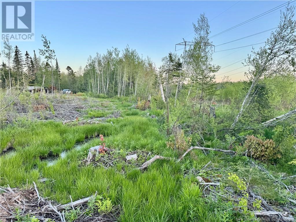 Lot Rooth Road, Tracy, New Brunswick  E5L 1K2 - Photo 5 - NB119503