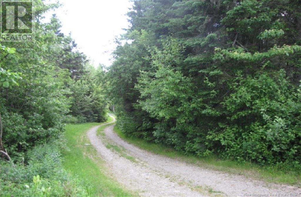 327 Maple Grove Road, Maple Grove, New Brunswick  E6B 2B5 - Photo 3 - NB119745