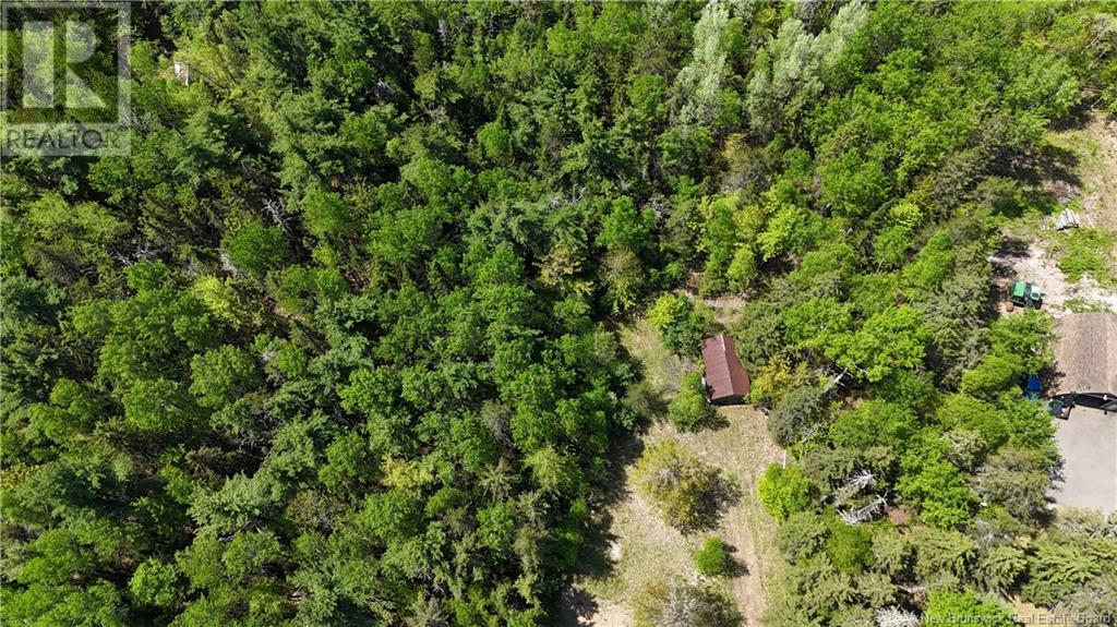 Lot Beckwith Road, Kinnear Settlement, New Brunswick  E4Z 2T3 - Photo 4 - NB119624