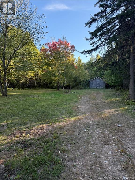 Lot Beckwith Road, Kinnear Settlement, New Brunswick E4Z 2T3 - Photo 8 - NB119624