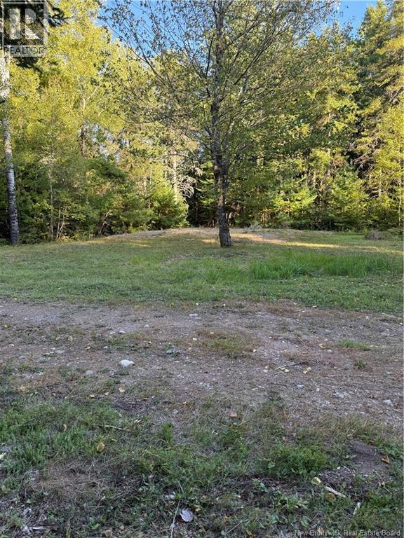 Lot Beckwith Road, Kinnear Settlement, New Brunswick E4Z 2T3 - Photo 9 - NB119624