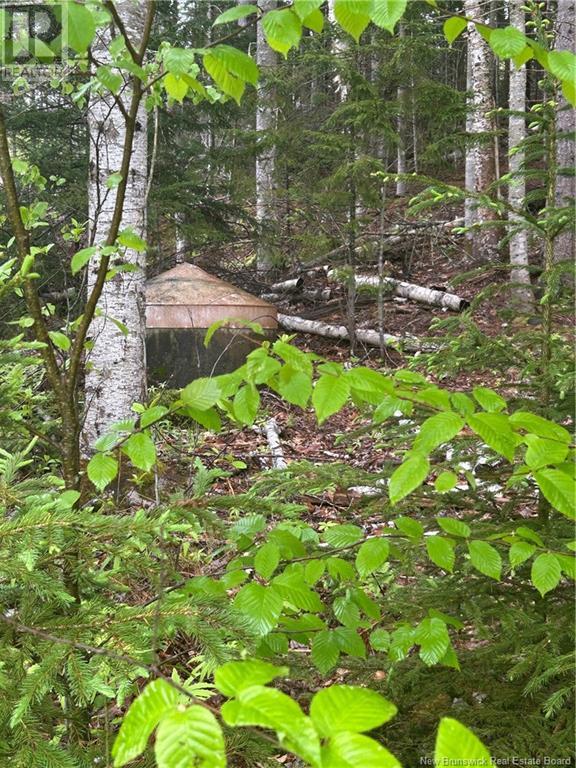 4 Mullen Lane, Grand Bay-Westfield, New Brunswick  E5K 3B6 - Photo 32 - NB118900
