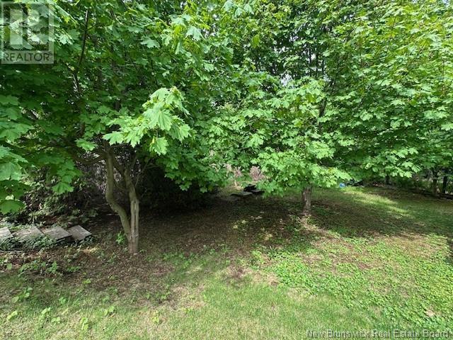 13 Van Horne Crescent, Campbellton, New Brunswick  E3N 3K5 - Photo 28 - NB119796