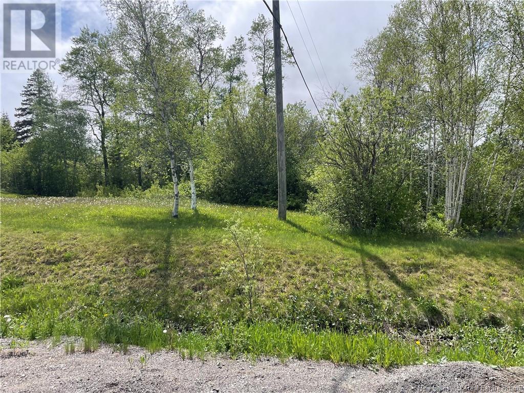 Route 865, Cassidy Lake, New Brunswick  E4E 5Y7 - Photo 3 - NB119789