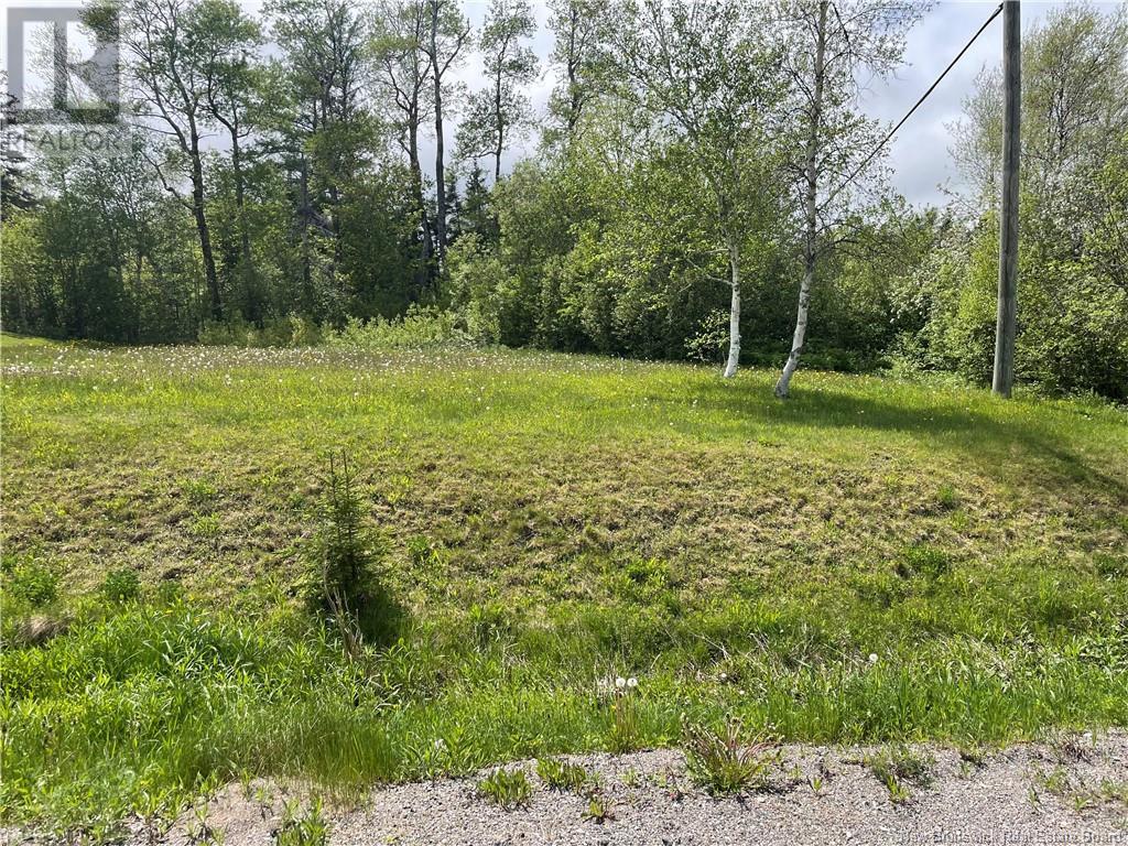 Route 865, Cassidy Lake, New Brunswick  E4E 5Y7 - Photo 4 - NB119789