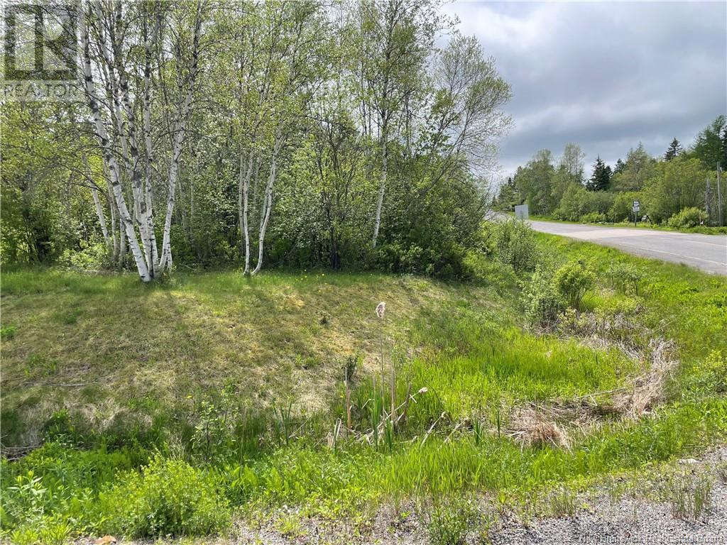 Route 865, Cassidy Lake, New Brunswick  E4E 5Y7 - Photo 8 - NB119789