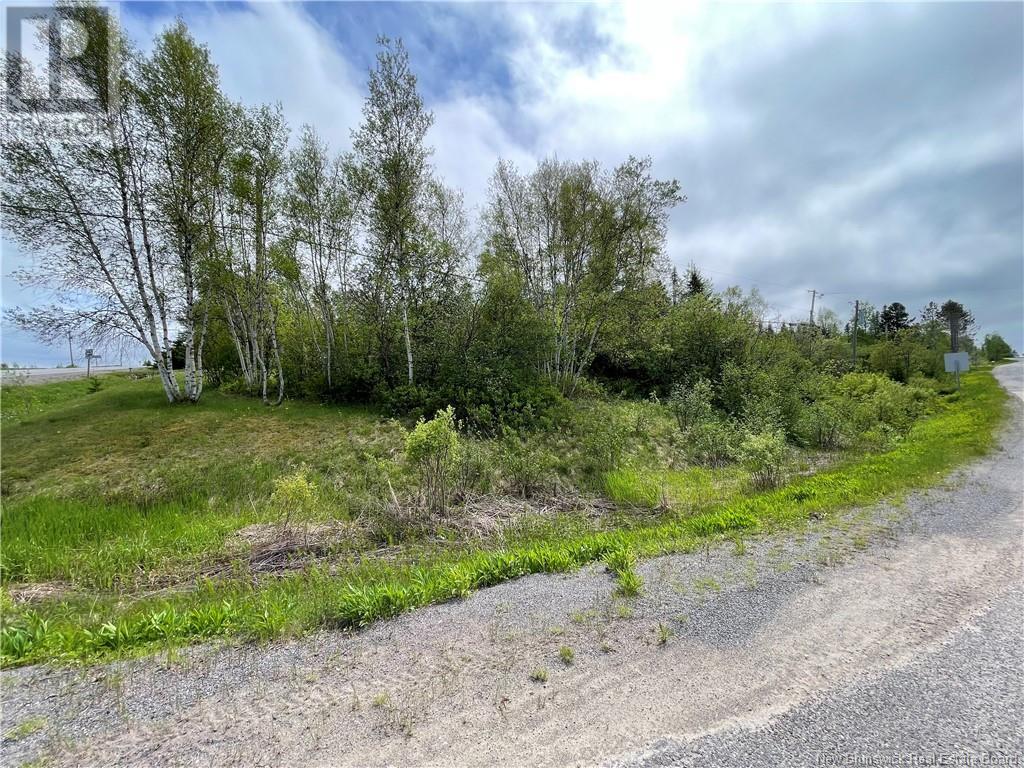 Route 865, Cassidy Lake, New Brunswick  E4E 5Y7 - Photo 9 - NB119789