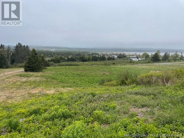 David Farm Road, West Quaco, New Brunswick  E5R 1M6 - Photo 1 - NB119787