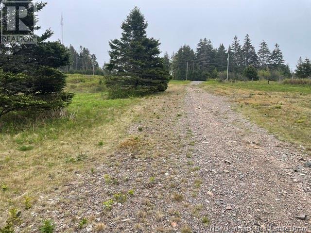 David Farm Road, West Quaco, New Brunswick  E5R 1M6 - Photo 5 - NB119787