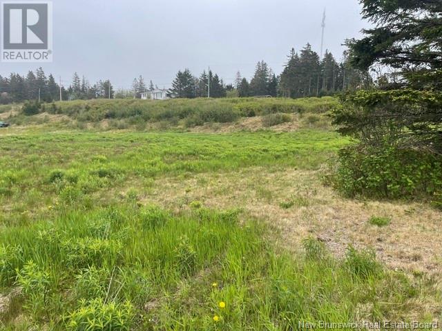 David Farm Road, West Quaco, New Brunswick  E5R 1M6 - Photo 6 - NB119787