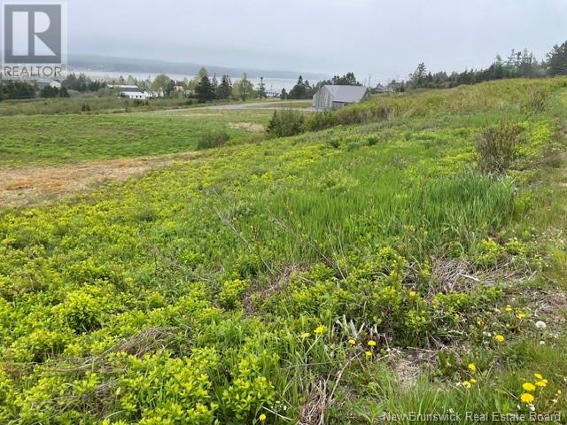 David Farm Road, West Quaco, New Brunswick  E5R 1M6 - Photo 8 - NB119787
