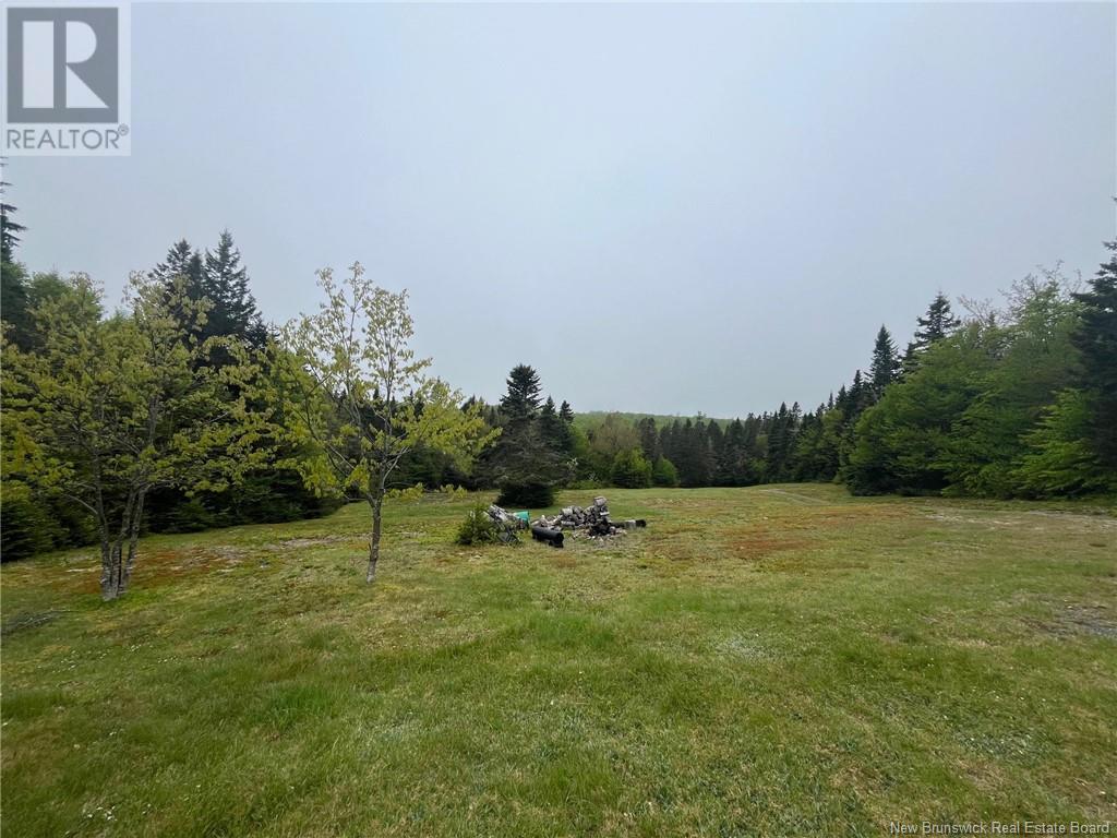 00 Off Collier Mountain Road, Teahans Corner, New Brunswick  E4Z 1R7 - Photo 11 - NB119760