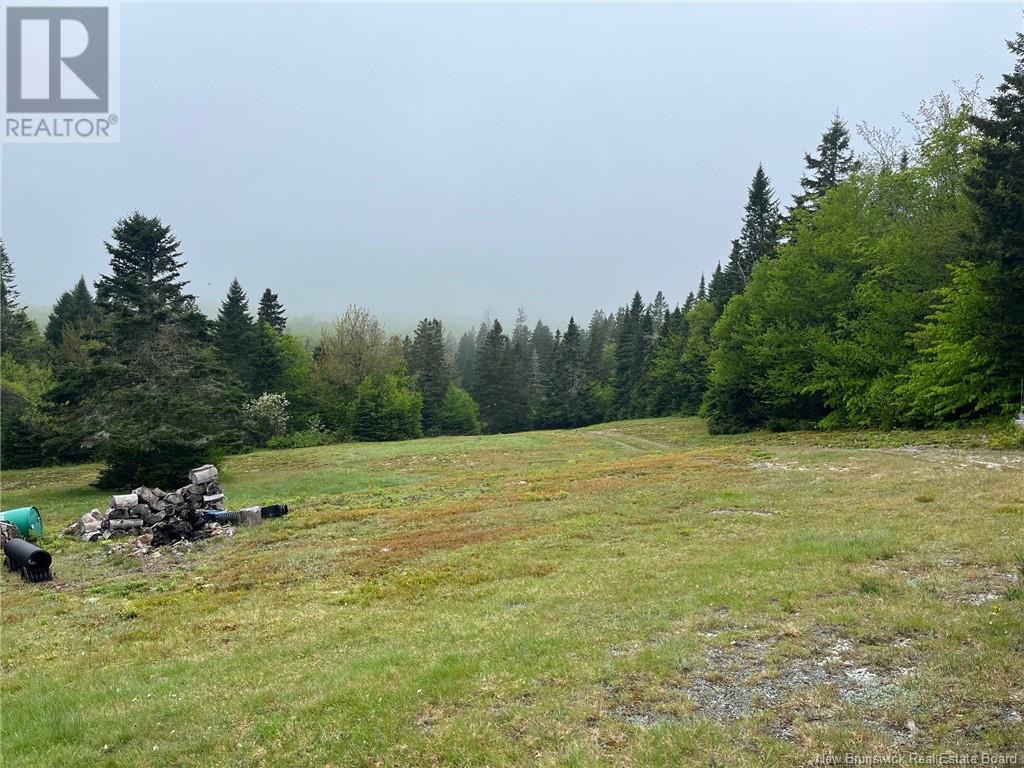 00 Off Collier Mountain Road, Teahans Corner, New Brunswick  E4Z 1R7 - Photo 2 - NB119760