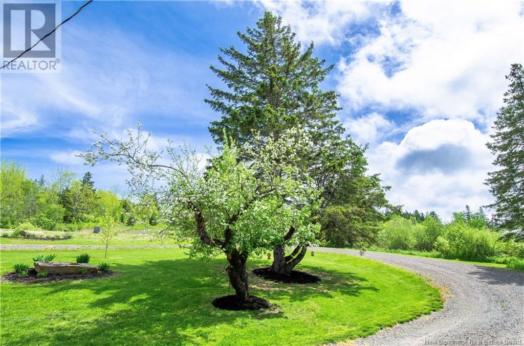 692 Drurys Cove Road, Ratter Corner, New Brunswick  E4E 3L2 - Photo 32 - NB119711