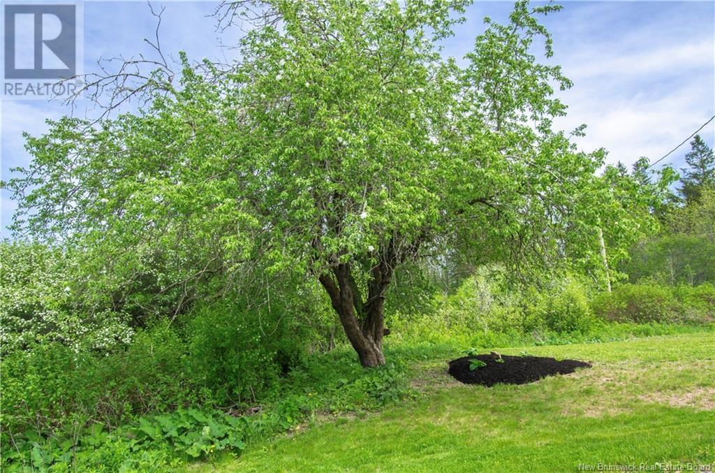 692 Drurys Cove Road, Ratter Corner, New Brunswick  E4E 3L2 - Photo 33 - NB119711