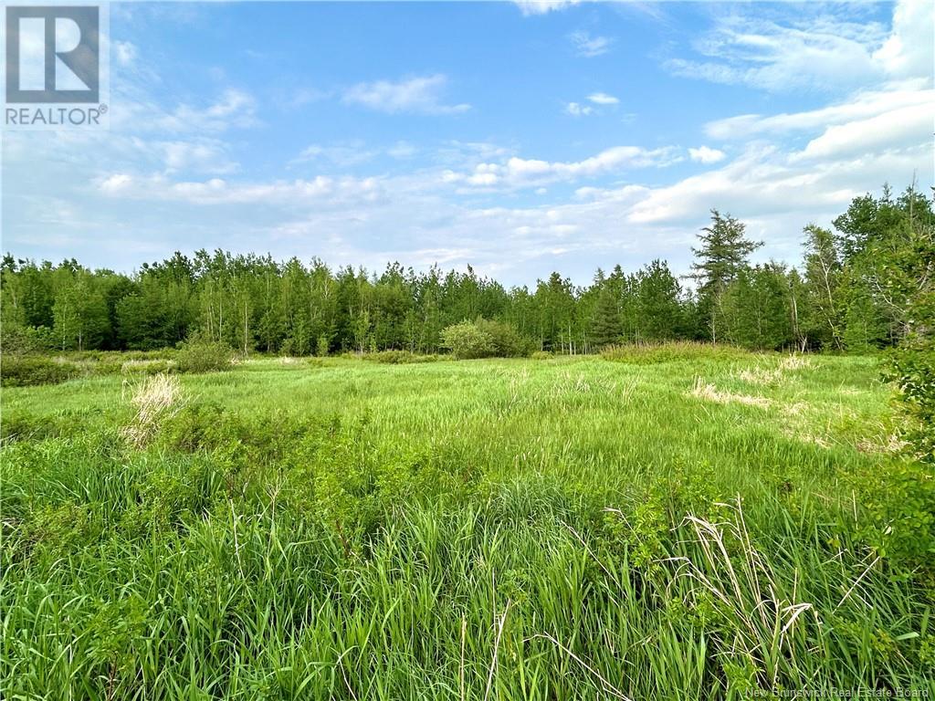 21 Acres Russell Road, Black River Bridge, New Brunswick